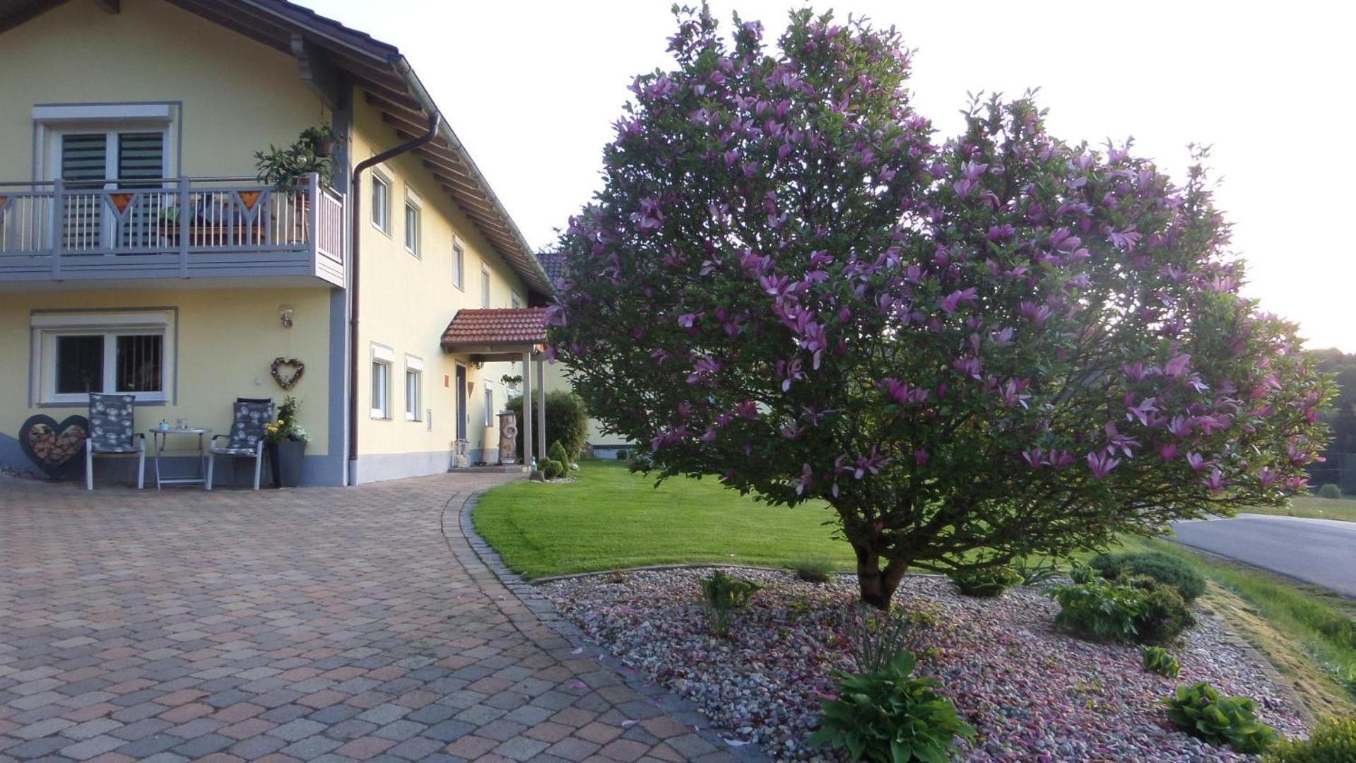 Fw & Fh Luesselfeld Lägenhet Zwiesel Exteriör bild